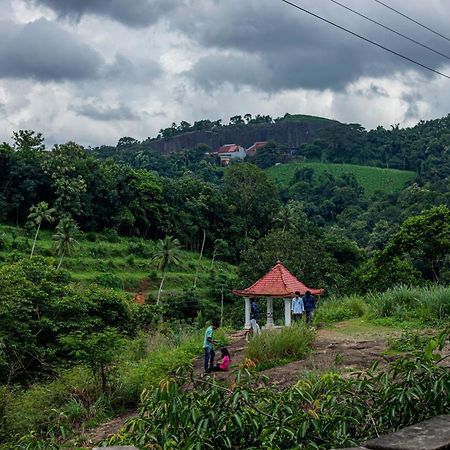 Aruvikuzhy Waterfalls Villa Kozhancheri Ngoại thất bức ảnh