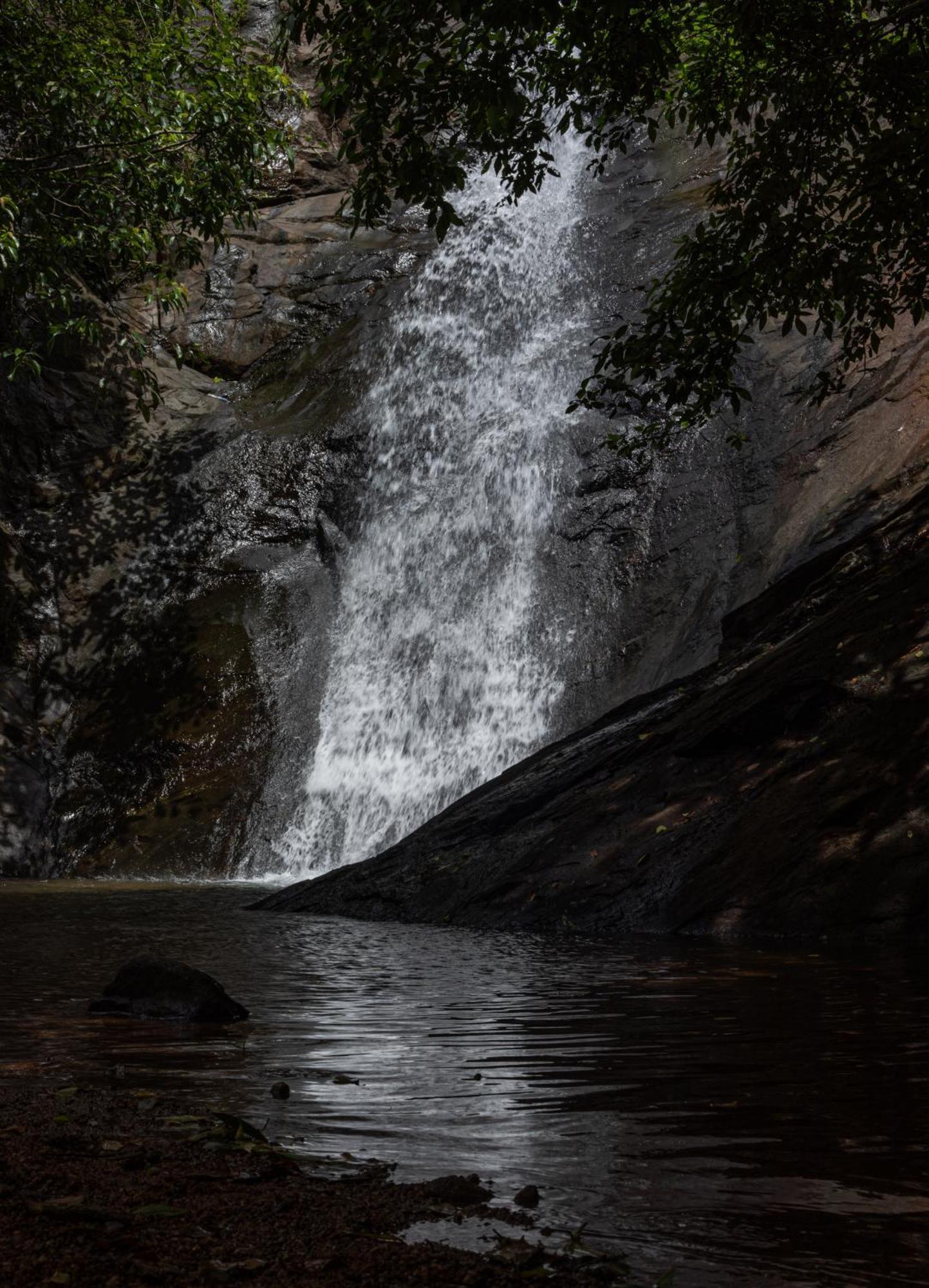 Aruvikuzhy Waterfalls Villa Kozhancheri Ngoại thất bức ảnh